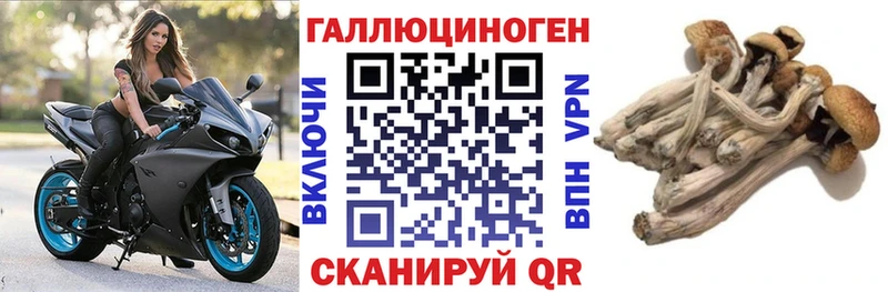 Галлюциногенные грибы GOLDEN TEACHER Шелехов